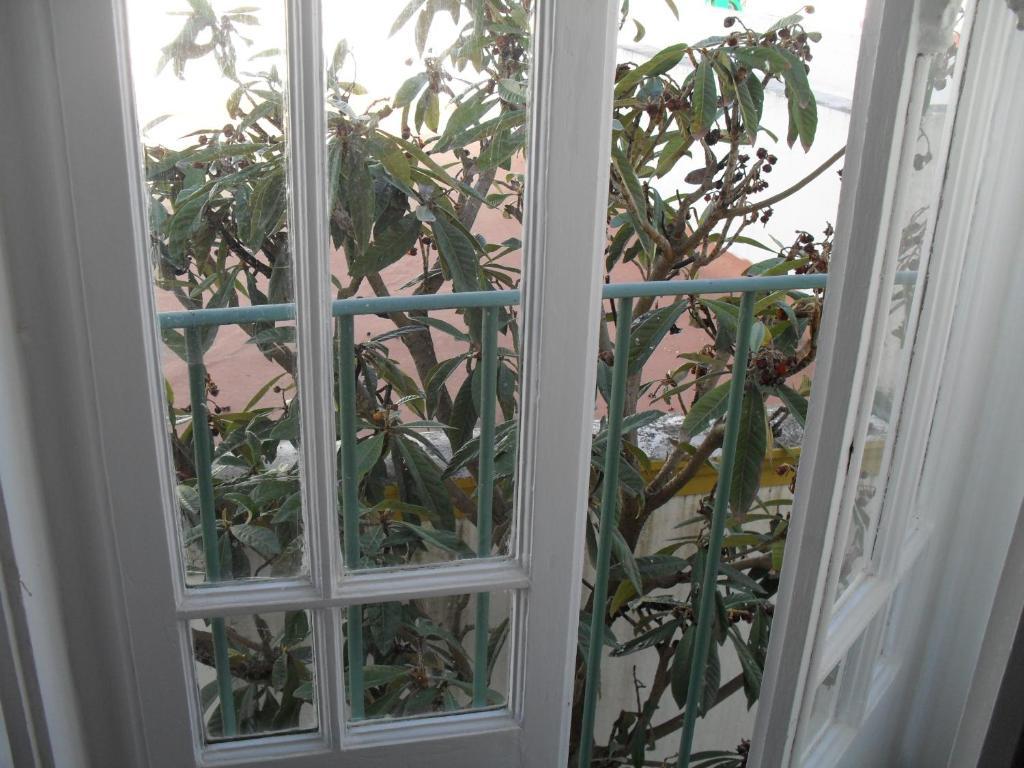 Casa Verde 费雷拉杜阿连特茹 客房 照片